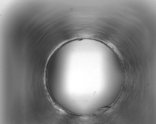 X0000068260904200605051746