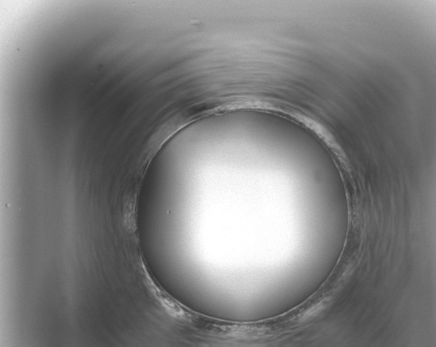 X0000068260905200605051746