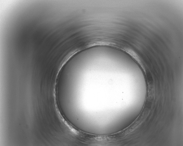 X0000068260906200605051746