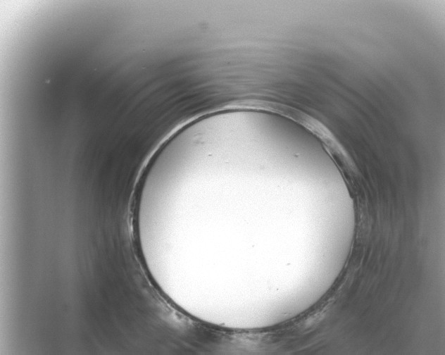 X0000068260908200605051746