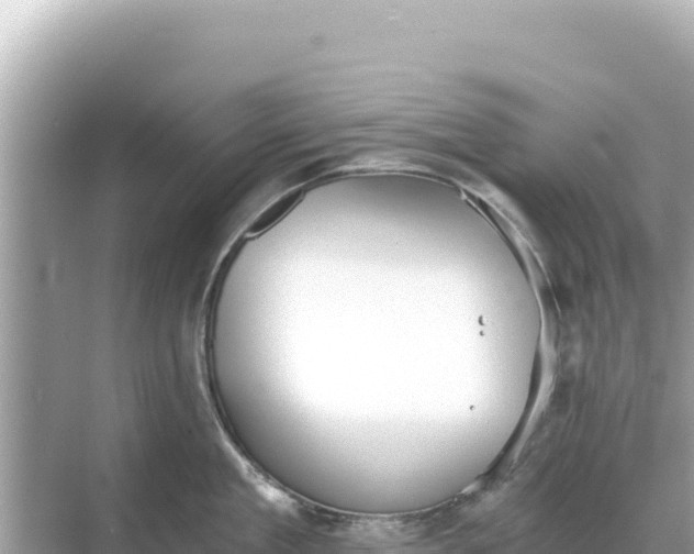 X0000068260909200605051746