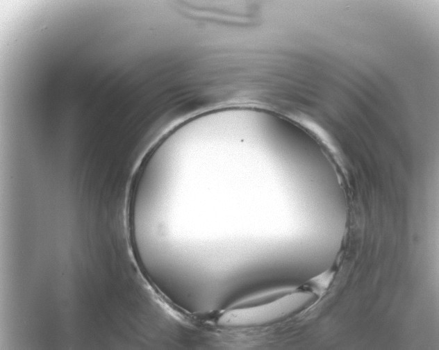 X0000068260910200605051746