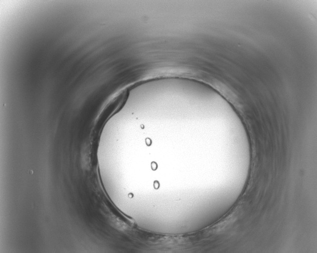 X0000068260912200605051746