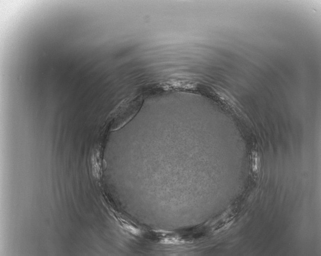 X0000068260915200605051745