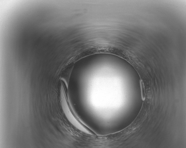 X0000068260916200605051745