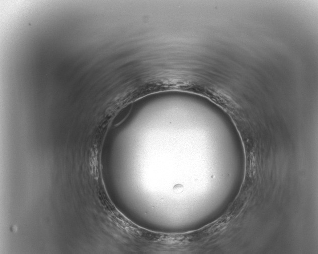 X0000068260917200605051745