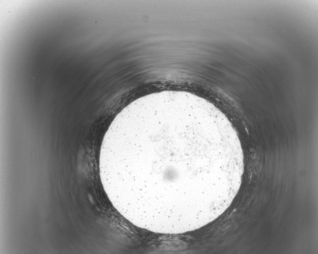 X0000068260918200605051745