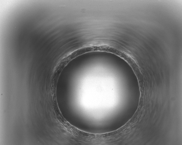 X0000068260920200605051745