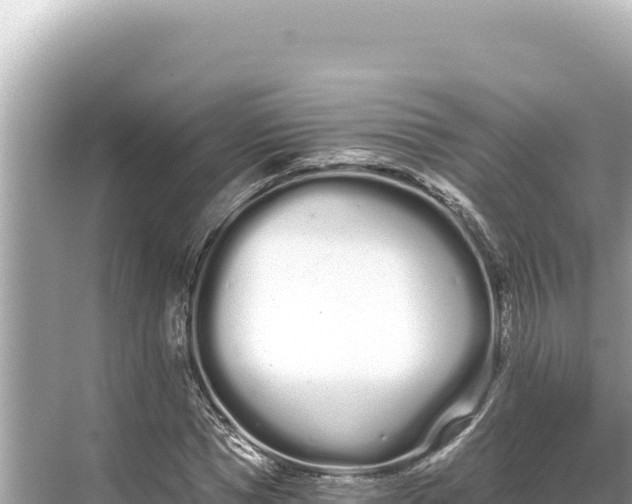 X0000068260921200605051745