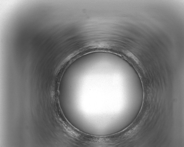 X0000068260922200605051745