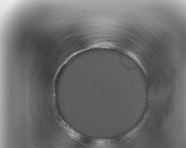 X0000068260923200605051745