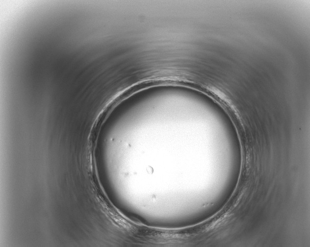 X0000068260925200605051745