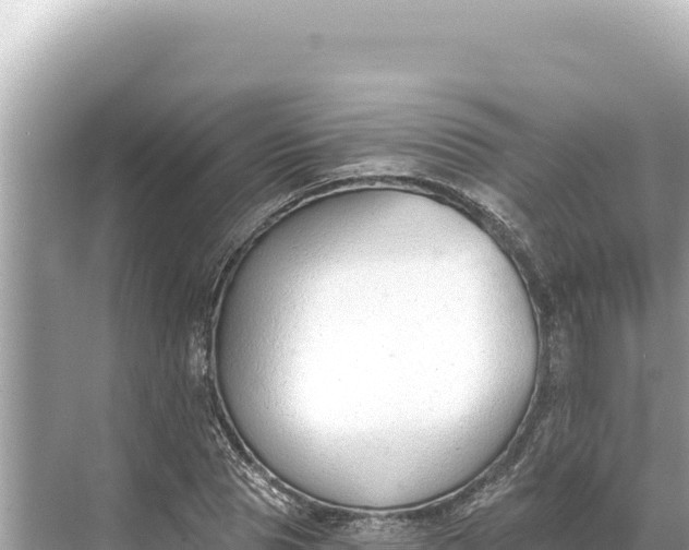 X0000068260929200605051745