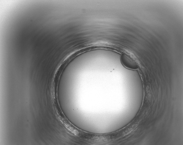 X0000068260931200605051745