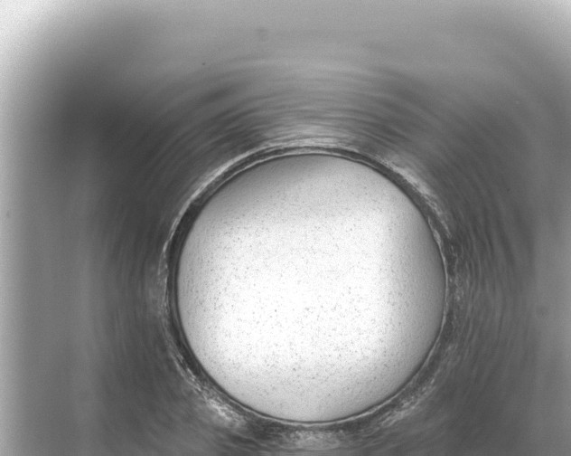 X0000068260933200605051745