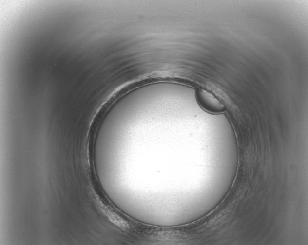 X0000068260934200605051745