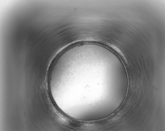 X0000068260935200605051745