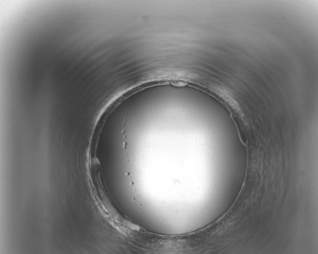 X0000068260936200605051745