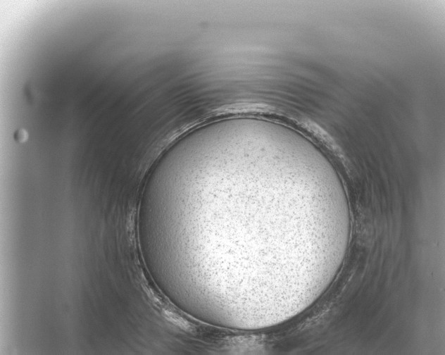 X0000068260937200605051745