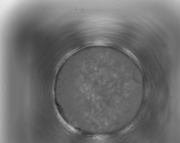 X0000068260938200605051745