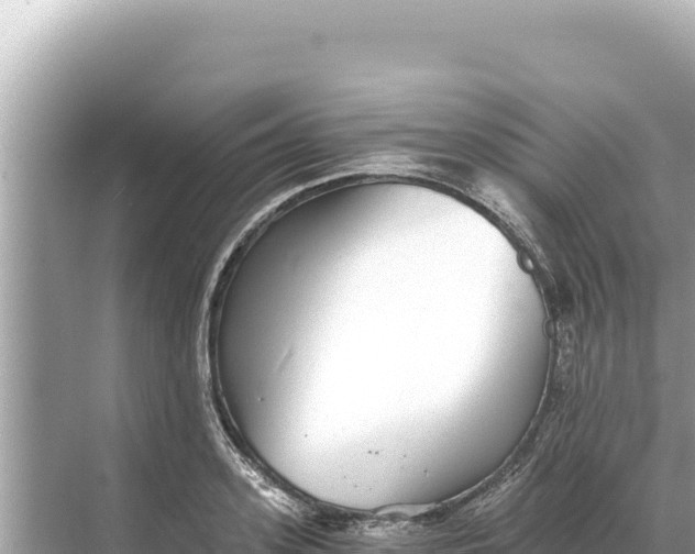 X0000068260939200605051745