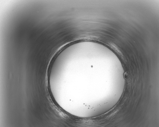 X0000068260940200605051745