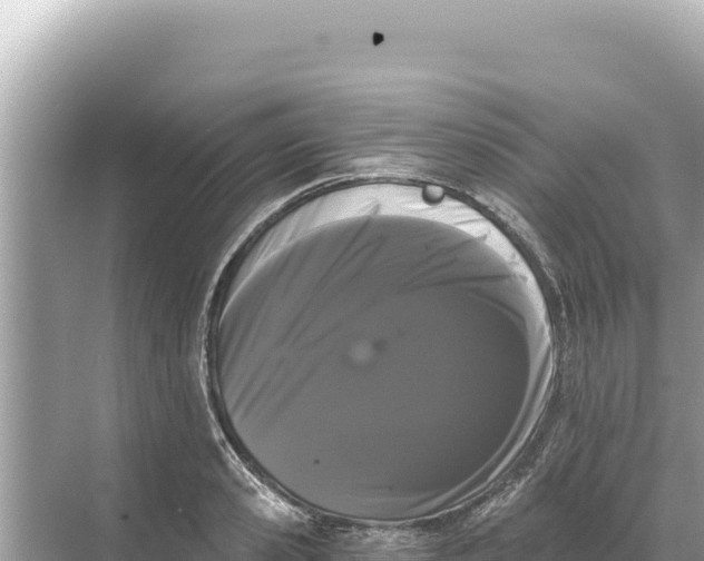 X0000068260941200605051745