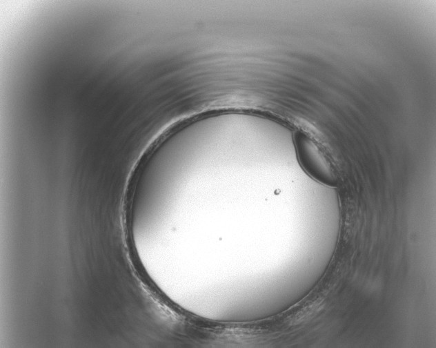 X0000068260942200605051745