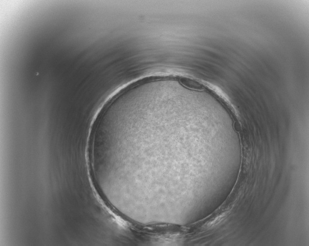 X0000068260943200605051745