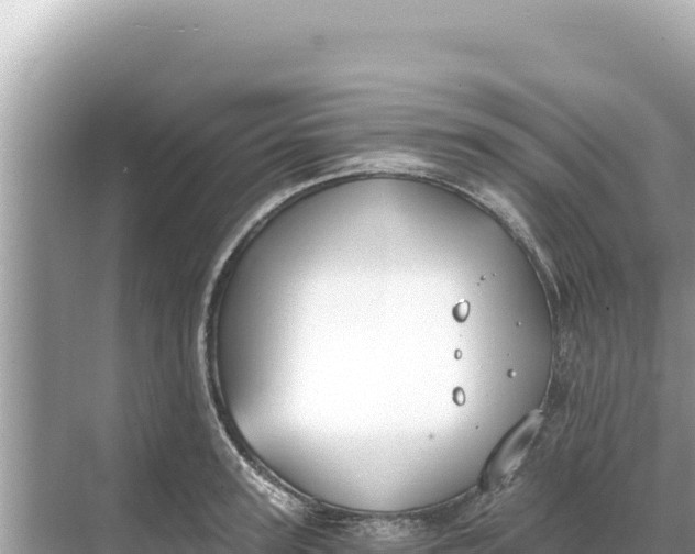 X0000068260947200605051745