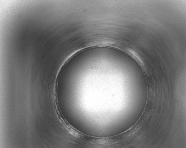 X0000068260948200605051745