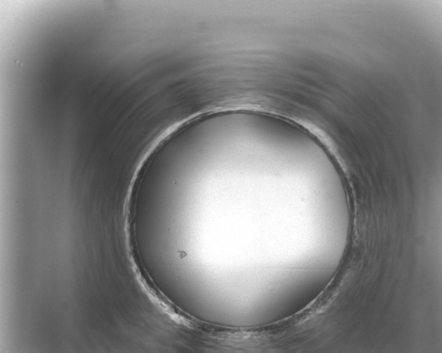 X0000068260949200605051745