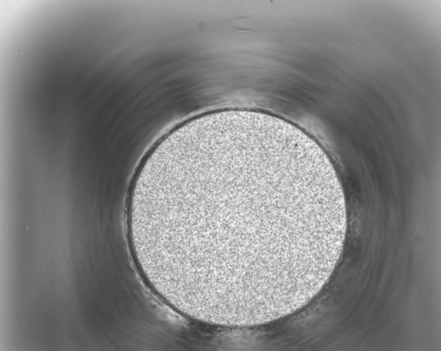 X0000068260950200605051746