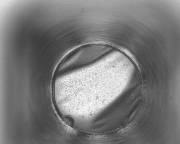 X0000068260951200605051746