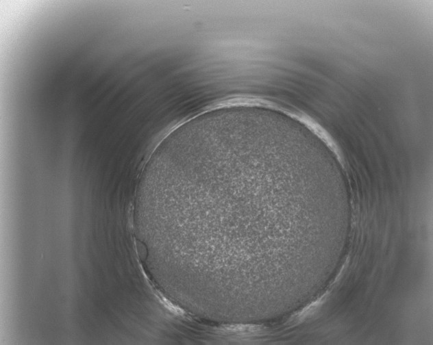 X0000068260953200605051746