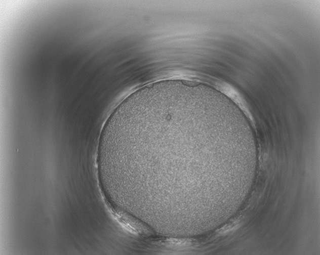 X0000068260954200605051746