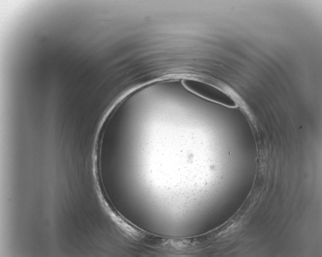 X0000068260955200605051746