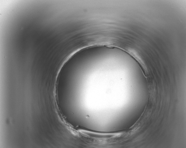 X0000068260956200605051746