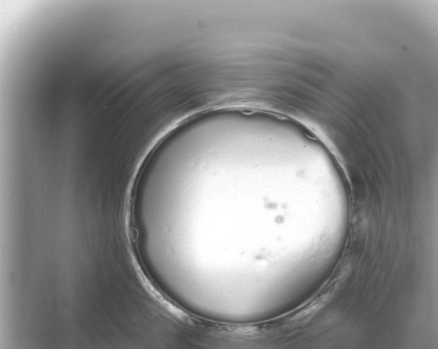 X0000068260957200605051746