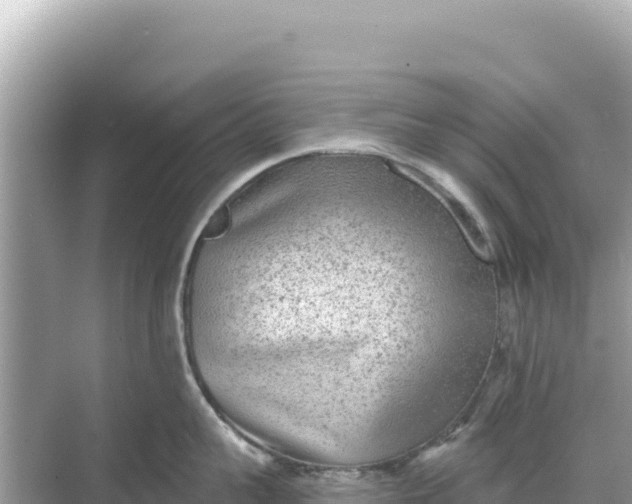 X0000068260959200605051746