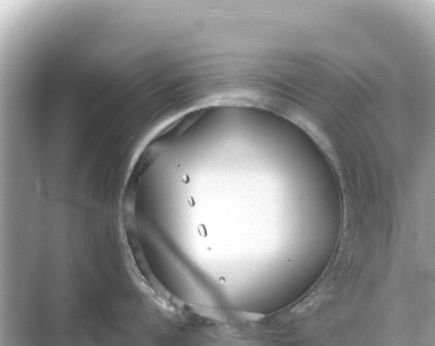 X0000068260960200605051746