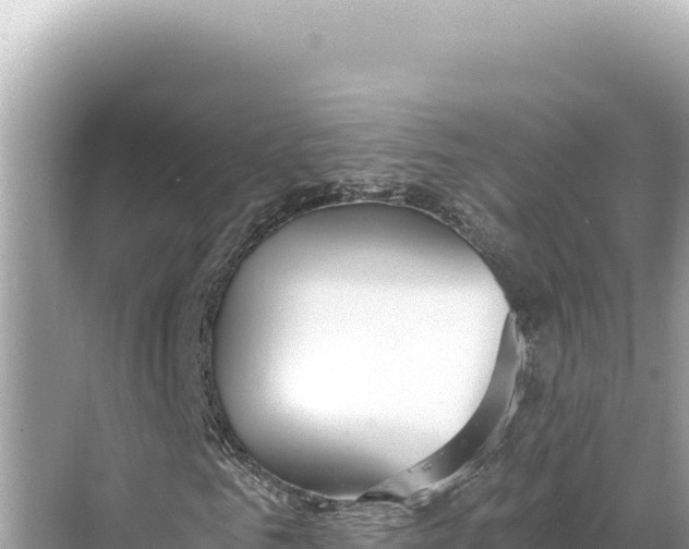 X0000068260961200605051745