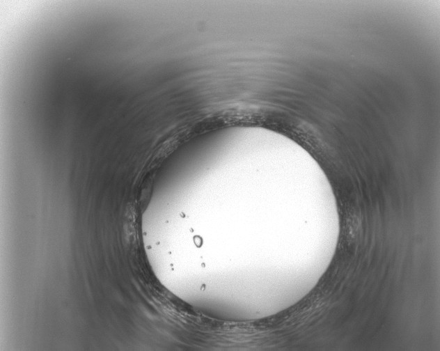 X0000068260964200605051745