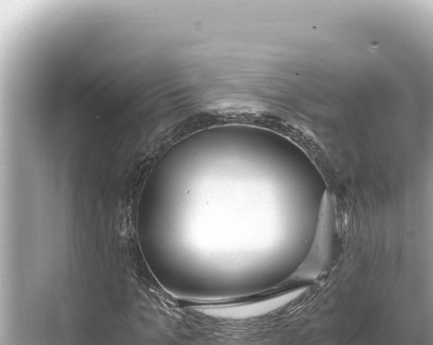 X0000068260965200605051745