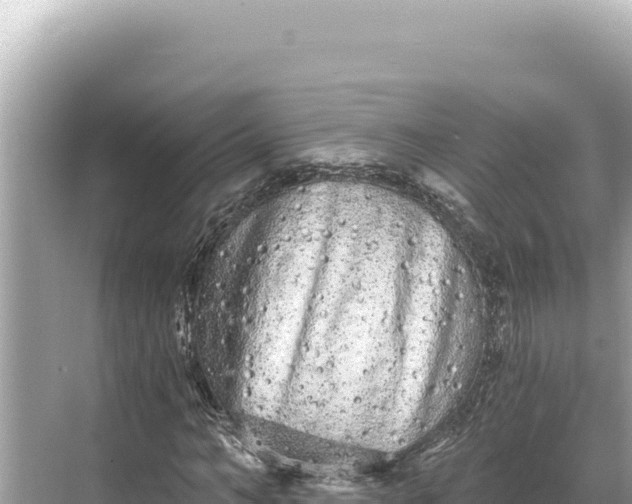 X0000068260966200605051745