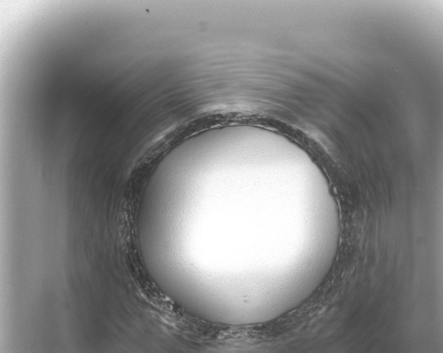 X0000068260967200605051745