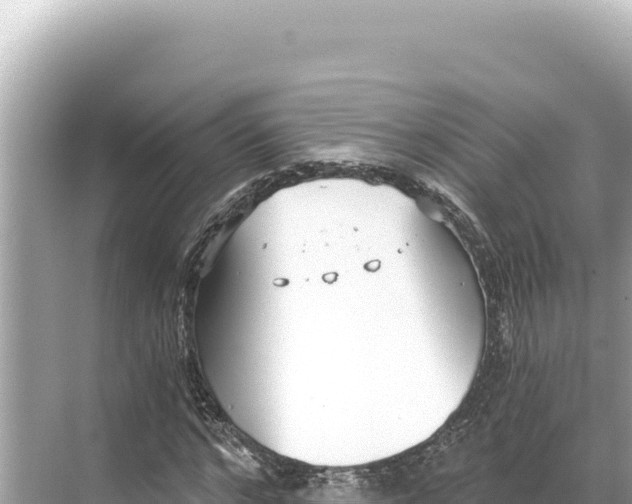 X0000068260968200605051745