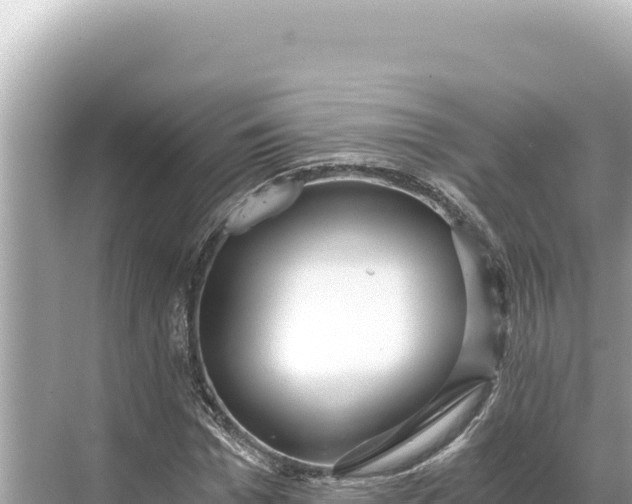 X0000068260969200605051745