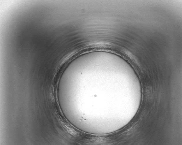 X0000068260970200605051745