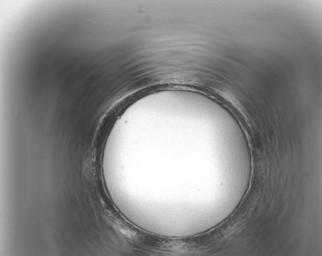 X0000068260971200605051745